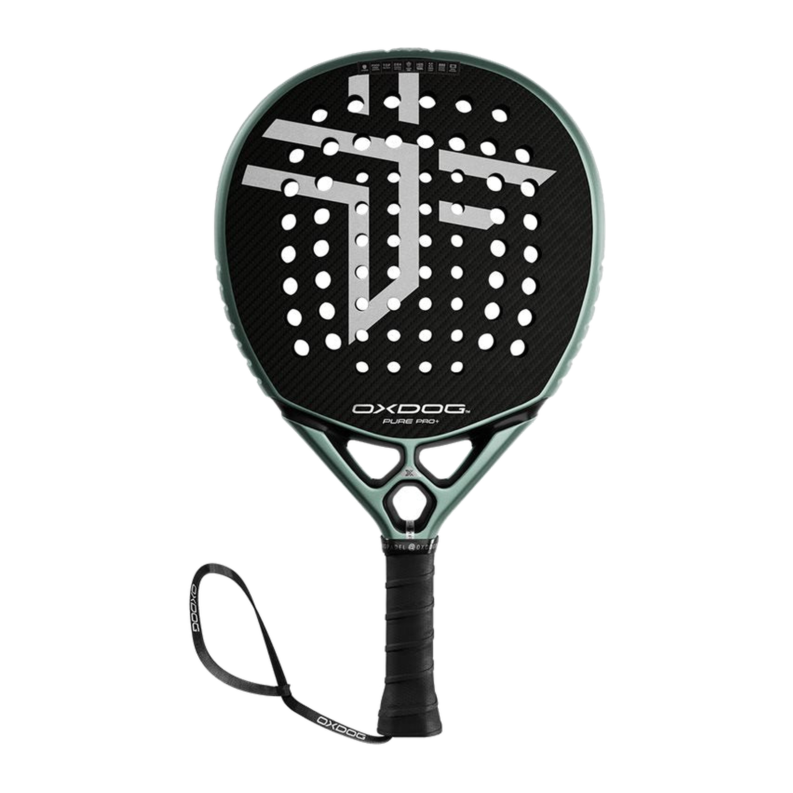 PURE PRO+ (2026) image 2